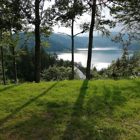 Eko Kuca Hedonija Villa Bajina Basta Luaran gambar