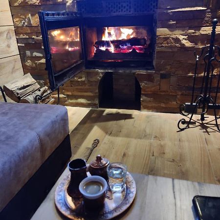 Eko Kuca Hedonija Villa Bajina Basta Luaran gambar