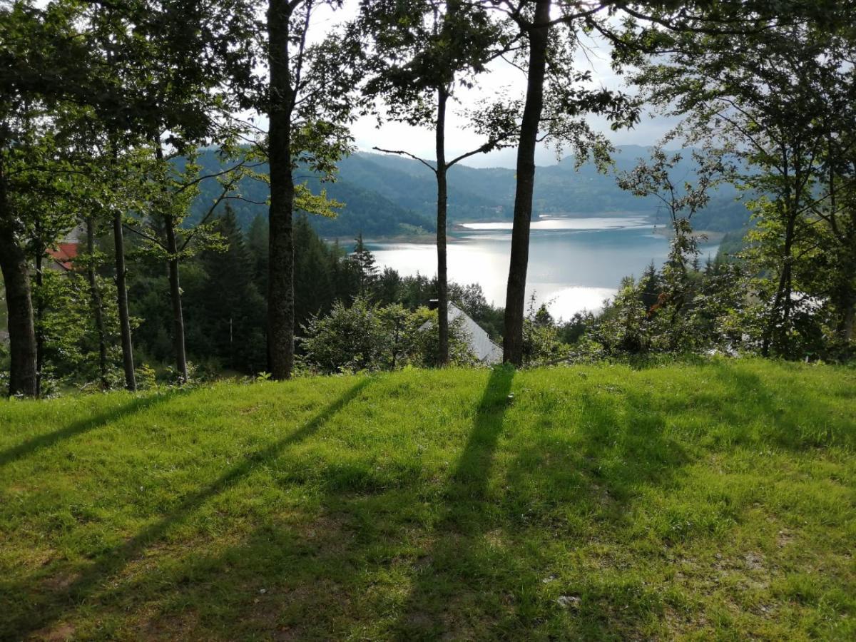 Eko Kuca Hedonija Villa Bajina Basta Luaran gambar