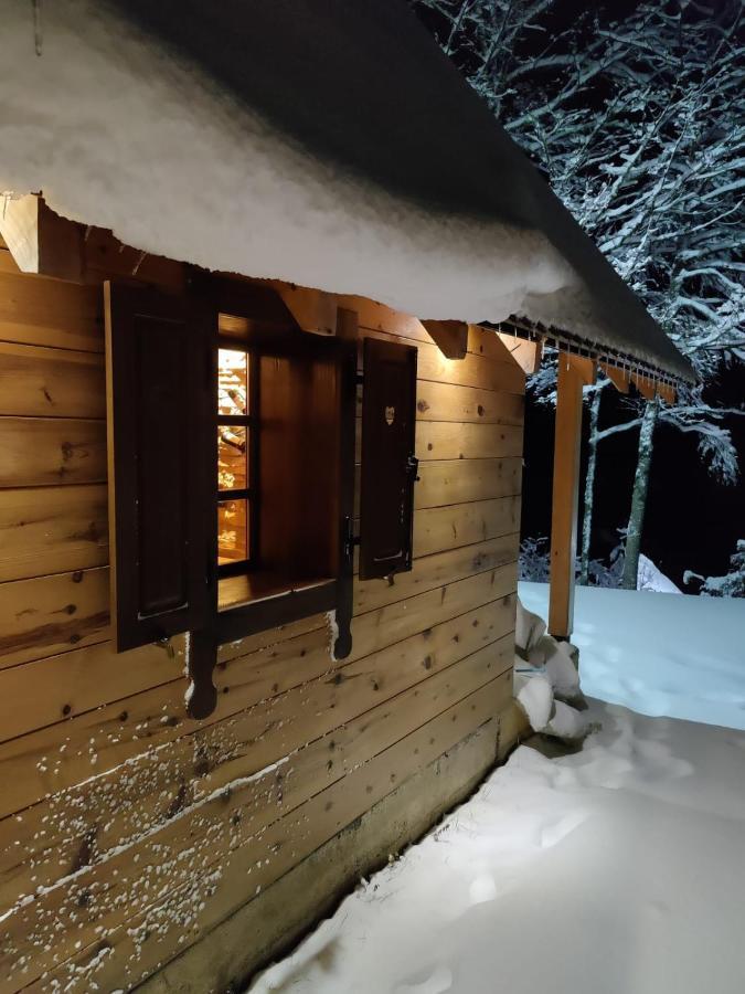 Eko Kuca Hedonija Villa Bajina Basta Luaran gambar