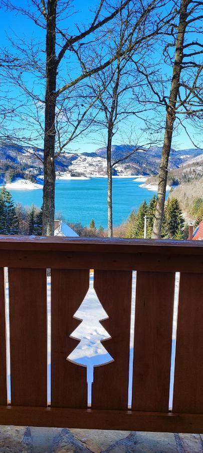 Eko Kuca Hedonija Villa Bajina Basta Luaran gambar