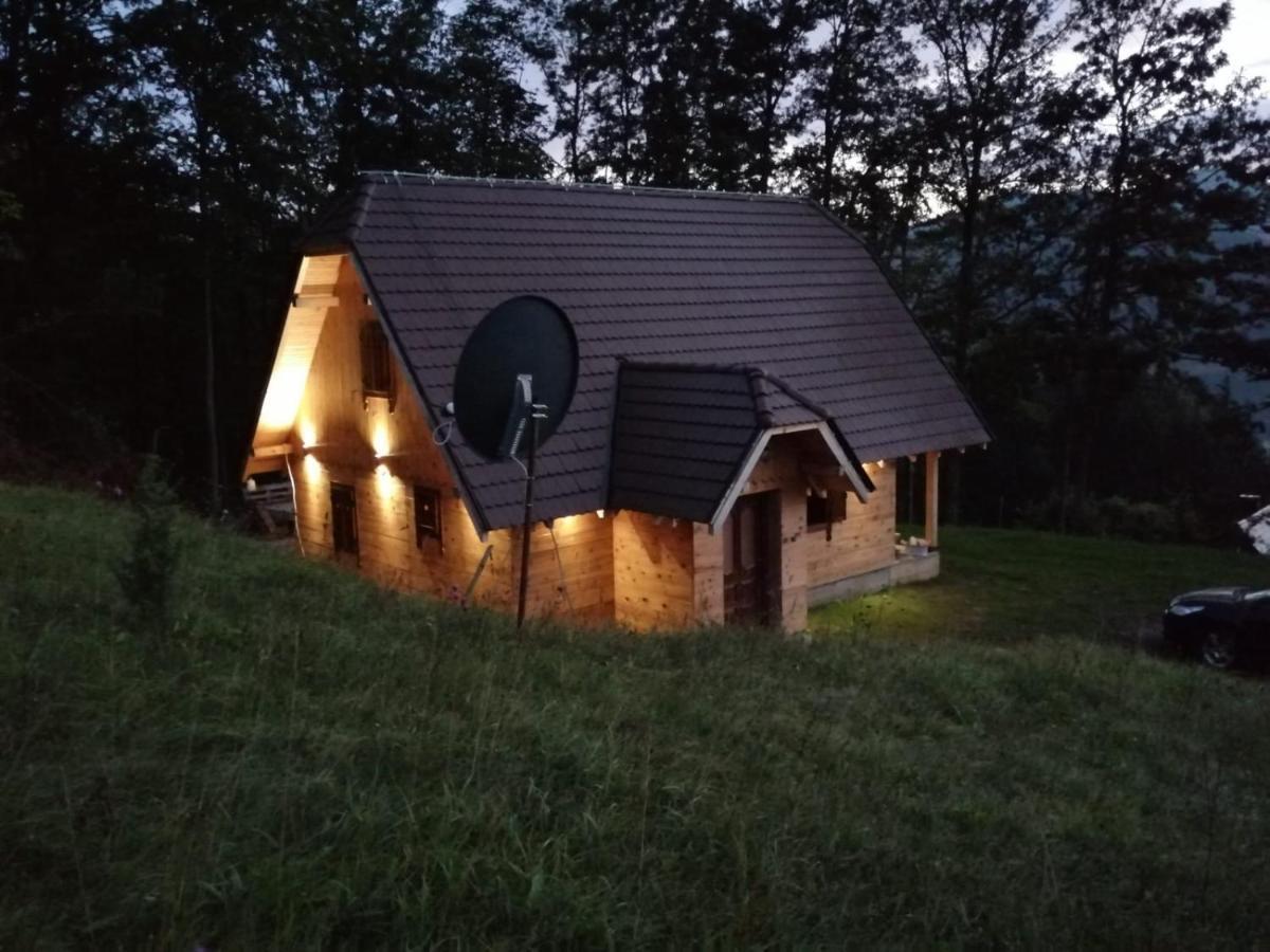 Eko Kuca Hedonija Villa Bajina Basta Luaran gambar
